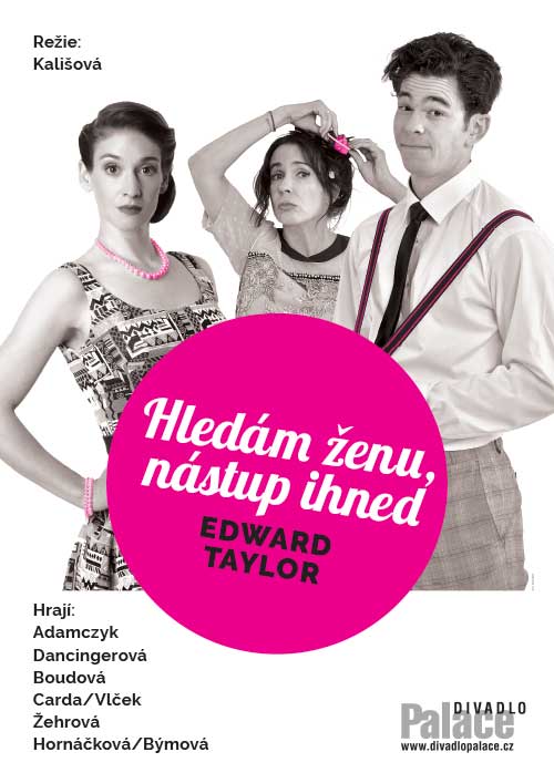 Hledám ženu, nástup ihned
